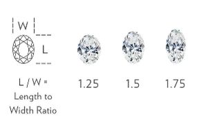 Oval Width to Height Ratio